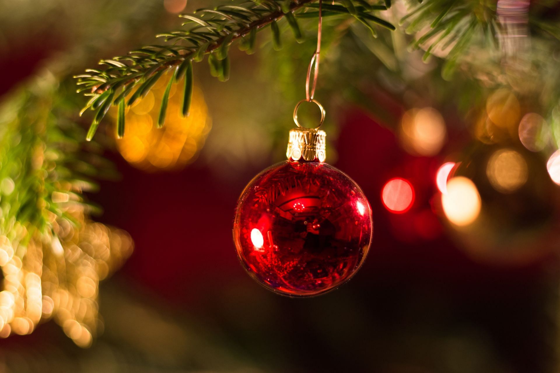 Christmas Fruits (Image via Unsplash/Theo)